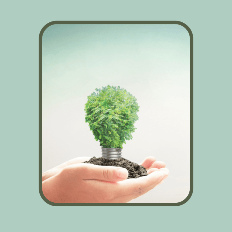5 de Março: Dia da Eficiência Energética